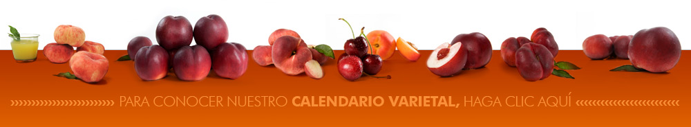 Calendario varietal