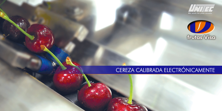 Cereza calibrada electronicamente