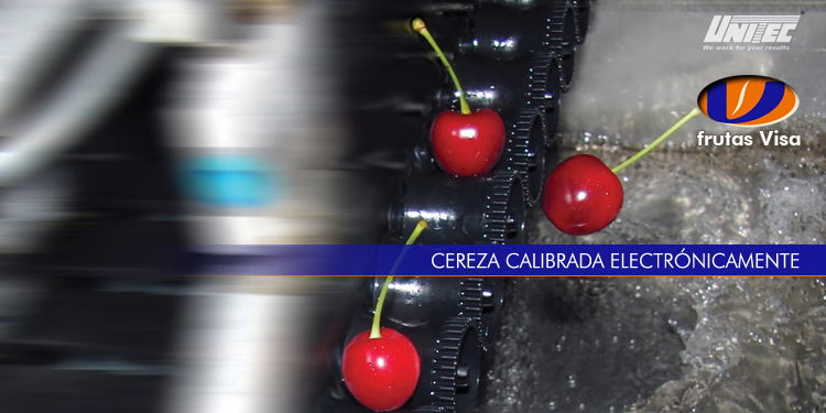 Cereza calibrada electronicamente