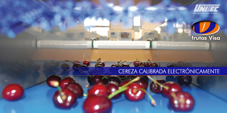 Cereza calibrada electronicamente