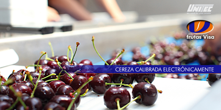 Cereza calibrada electronicamente